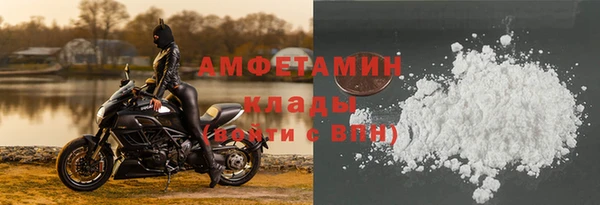 ECSTASY Богданович