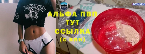 ECSTASY Богданович
