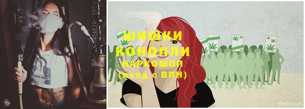 apvp Богородицк