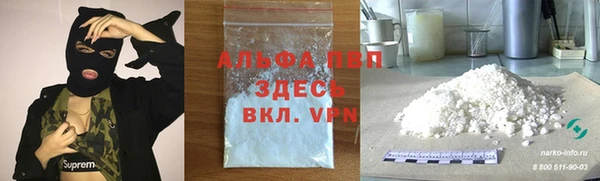 ECSTASY Богданович