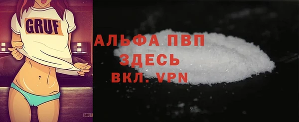 ECSTASY Богданович