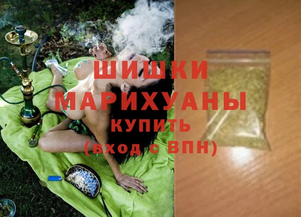 ECSTASY Богданович