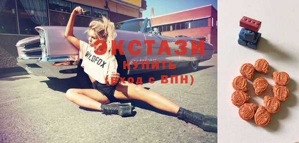 ECSTASY Богданович