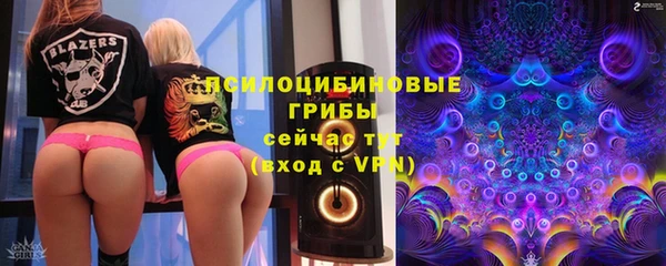 apvp Богородицк