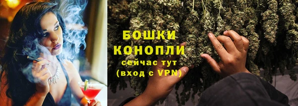 apvp Богородицк