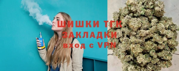 ECSTASY Богданович