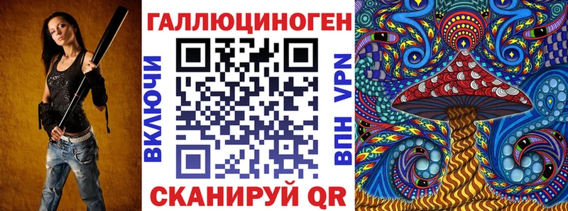 Купить  Кашин  Галлюциногенные грибы GOLDEN TEACHER 